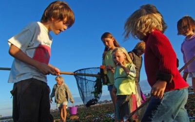 Des sorties Scol’Air pour découvrir le Calvados de la terre à la mer