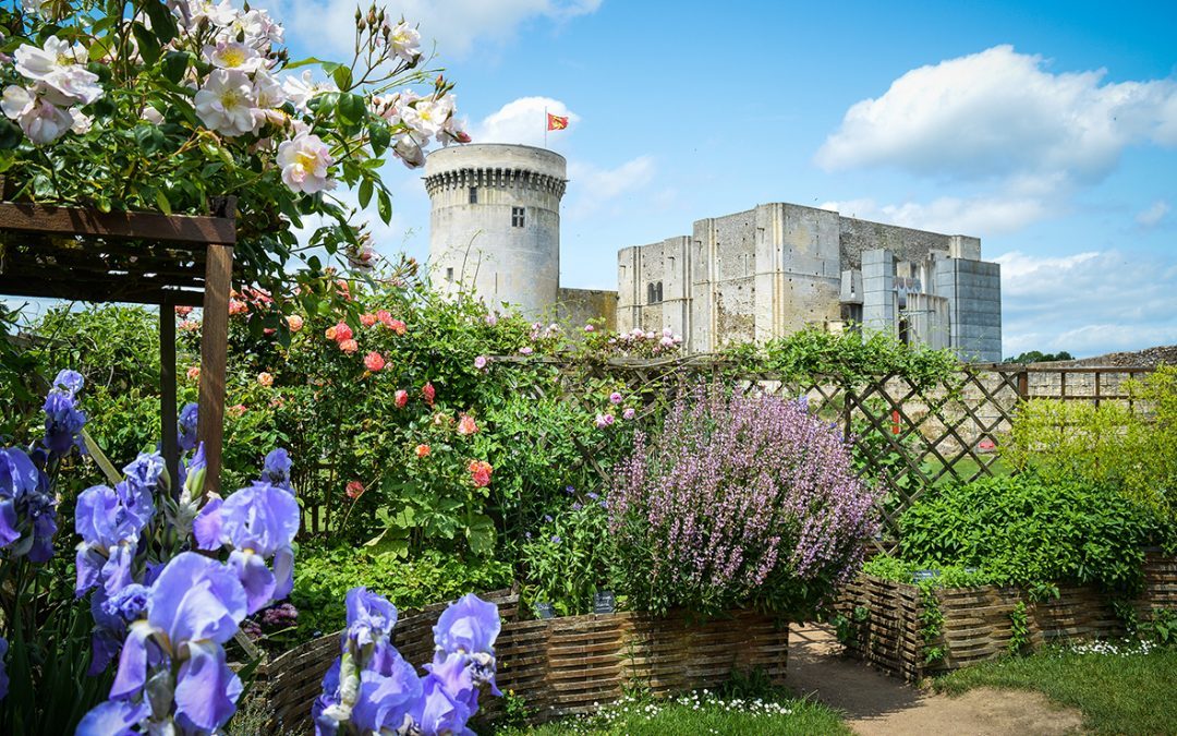 Remontez le temps et découvrez le Moyen Âge au château de Falaise