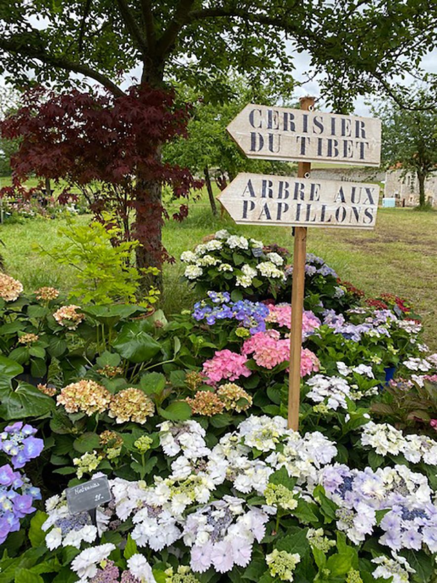 Vue du jardin au Château des Riffets