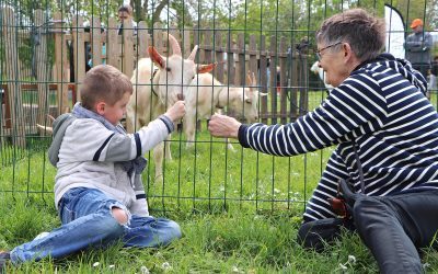 Quand la ferme s’invite en ville